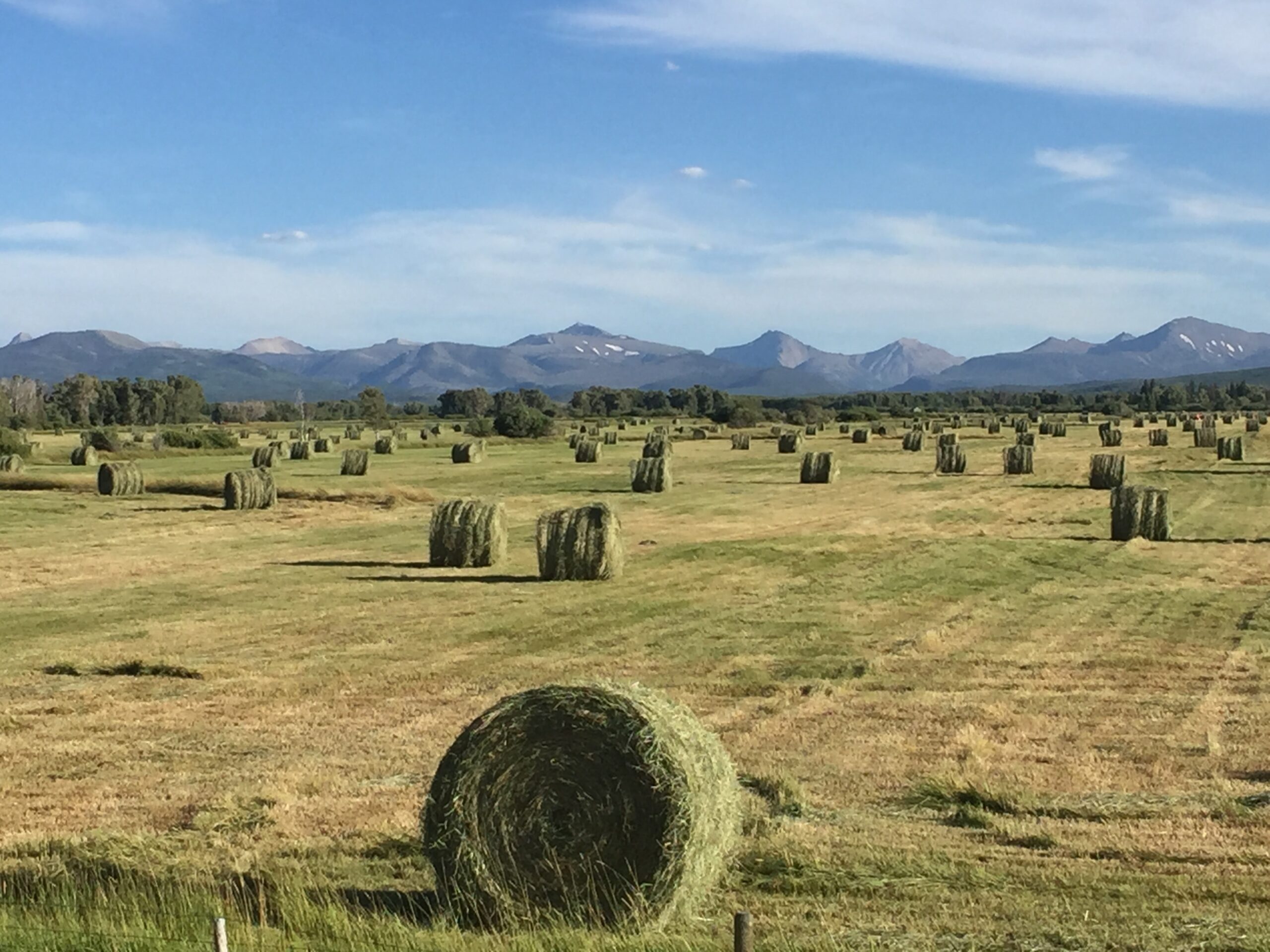 Bales of hay stand in a green field against mountains.