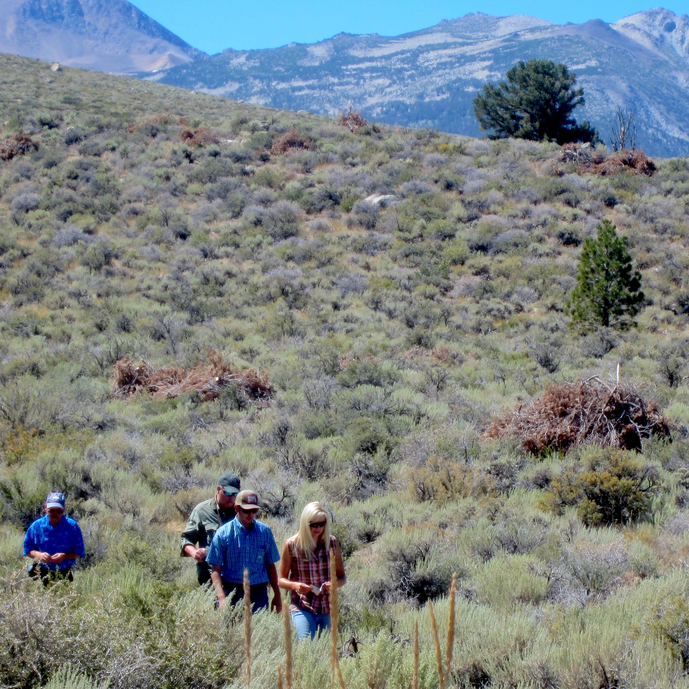 Community Partnerships in Action: The Bi-State, California/Nevada