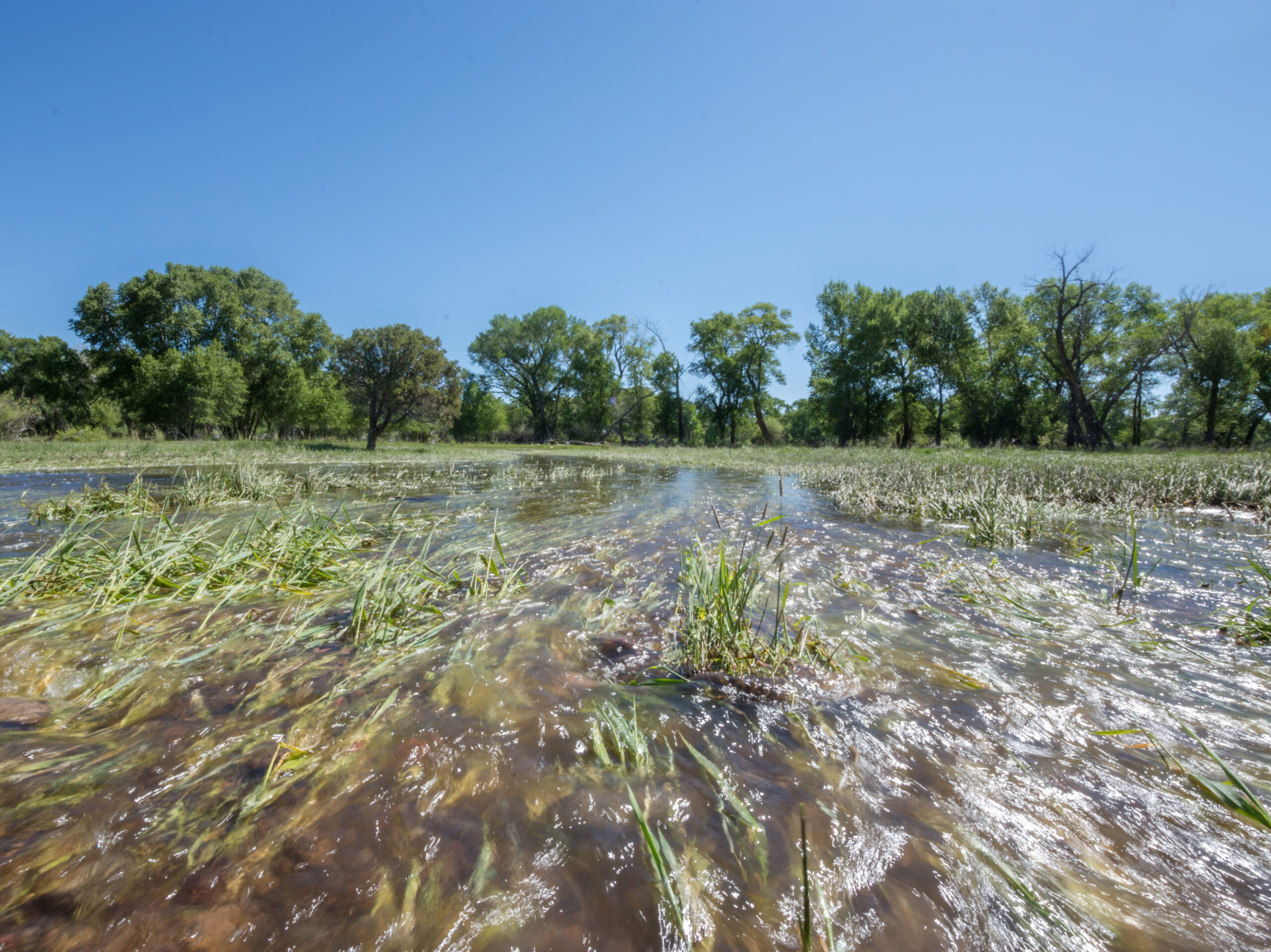 Intermountain Insights: Digging Deeper into Flood Irrigation