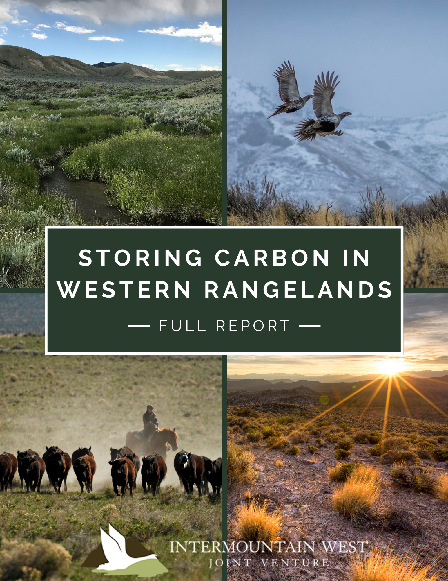 Protecting Carbon Stored in Western Rangelands
