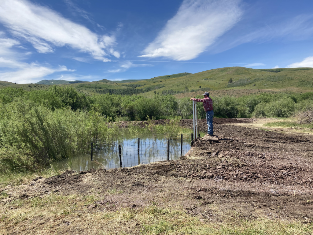 A man leans on a headgate next to a wetland and a fence.