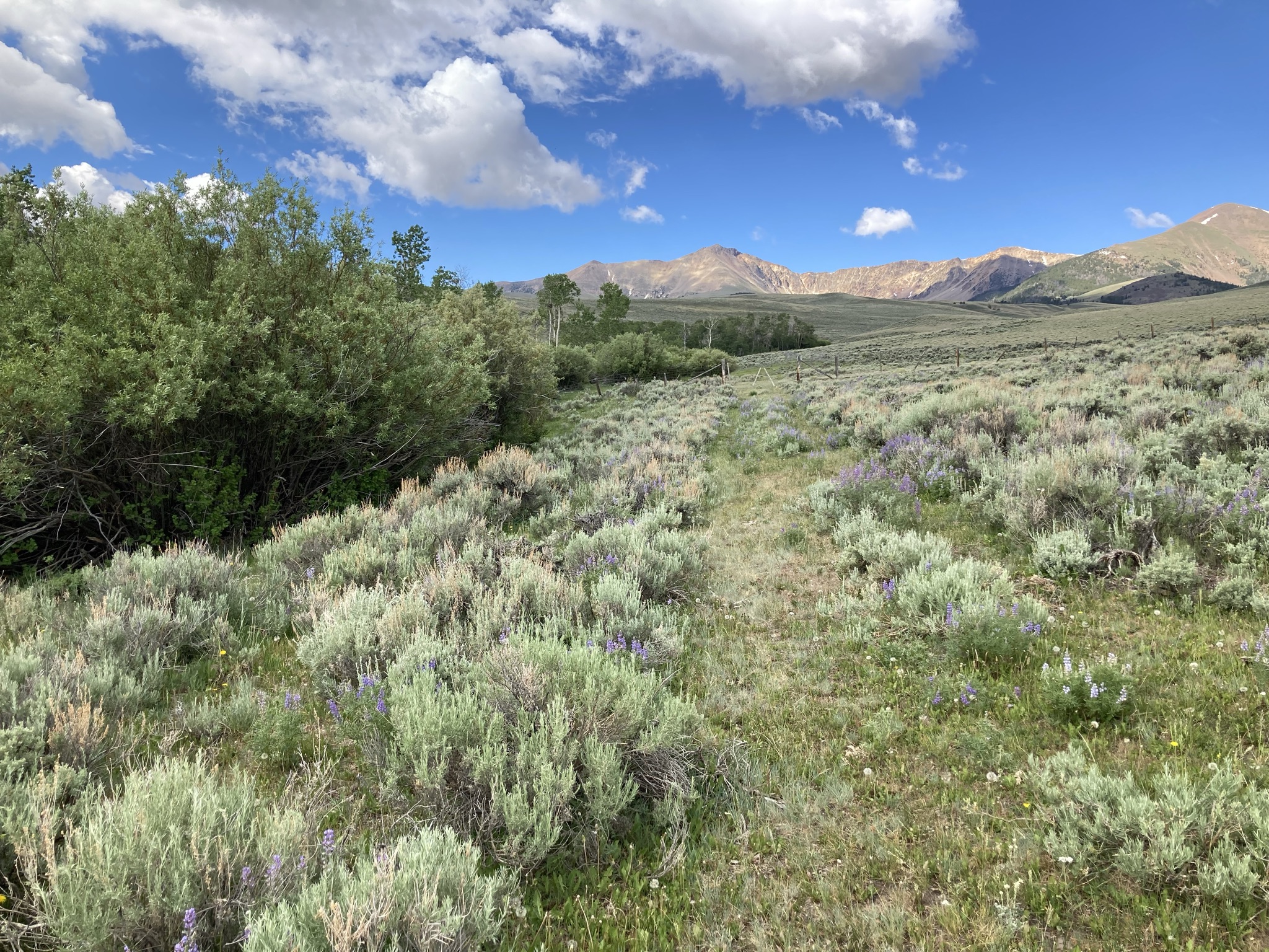 Rising to the Challenge: 2024 Agricultural Land Easement Workshop