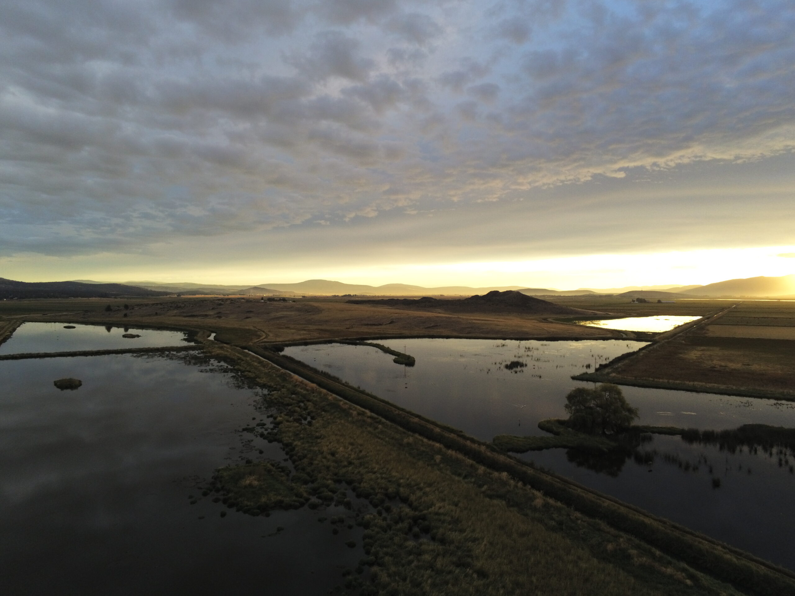 Klamath Basin Farming and Wetland Collaborative Regional Conservation Partnership Program