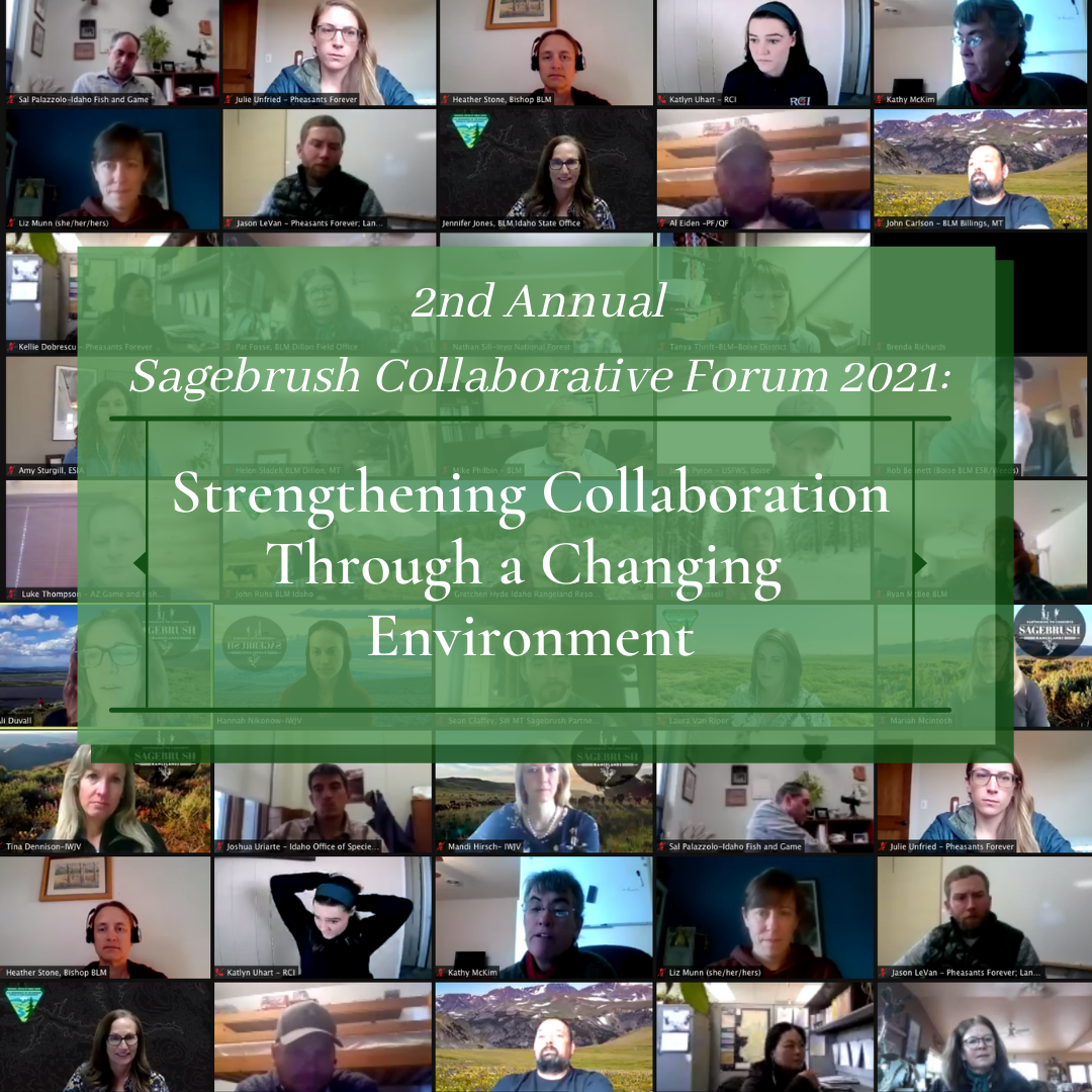 Strengthening Collaboration Through a Changing Environment