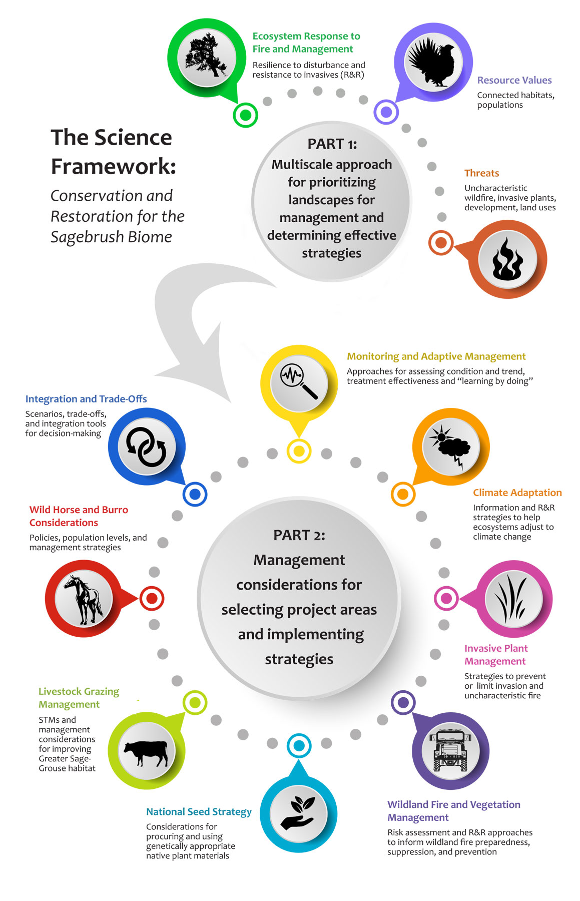 A diagram of the science framework