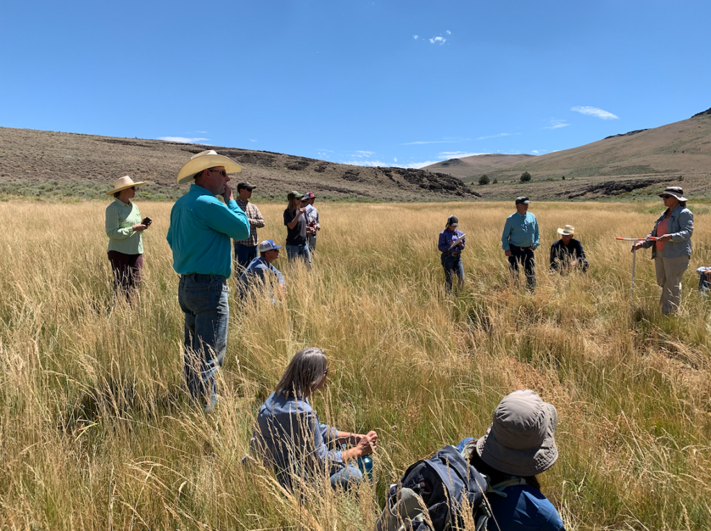 People discuss rangeland issues in a workshop
