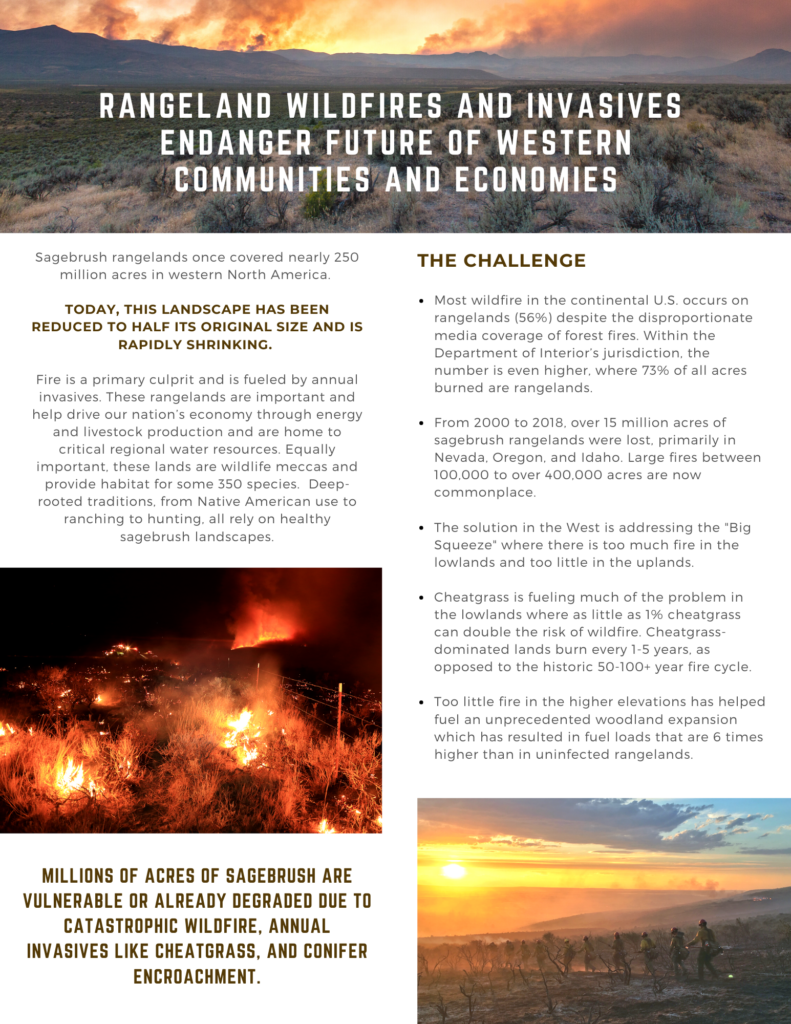 Factsheet thumbnail