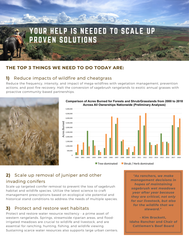 Factsheet thumbnail