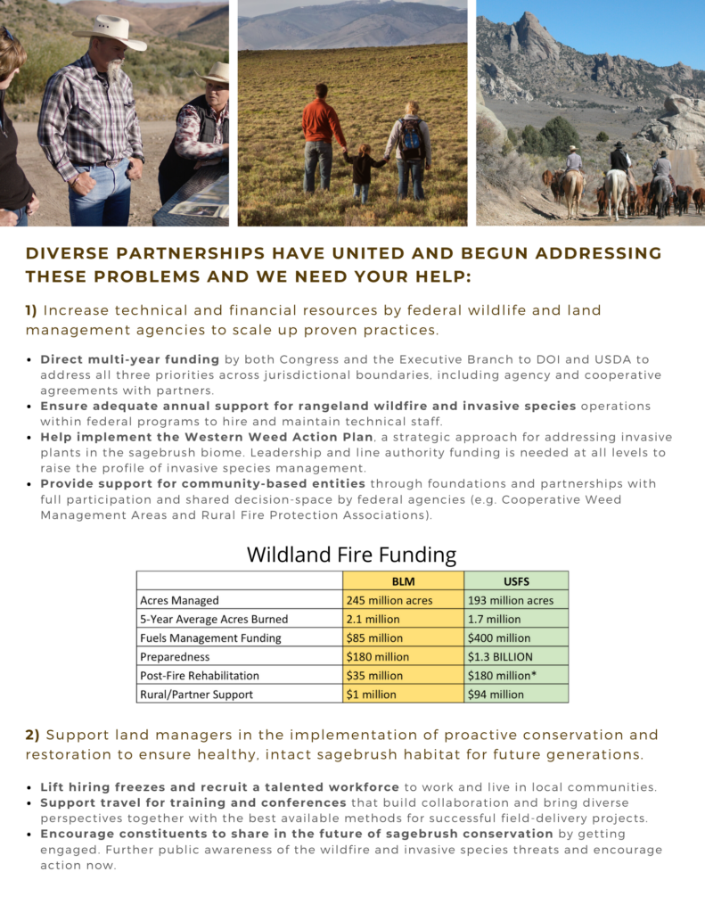 Factsheet thumbnail