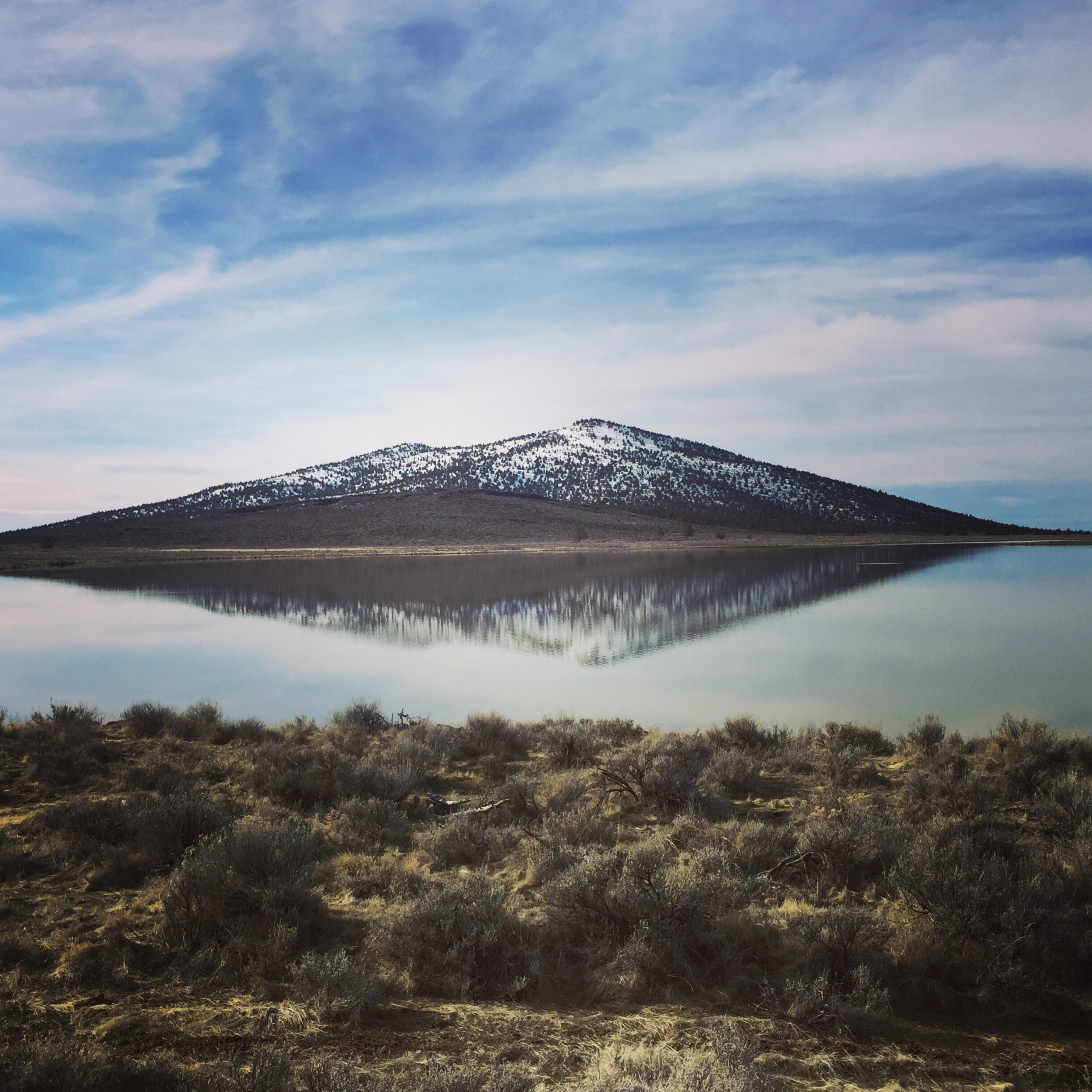 Clear Lake National Wildlife Refuge in northeastern California is comprised of 20,000 acres of open water surrounded by over 26,000 acres of upland bunchgrass, sagebrush, and juniper habitat. Photo by Chelsea Sink.