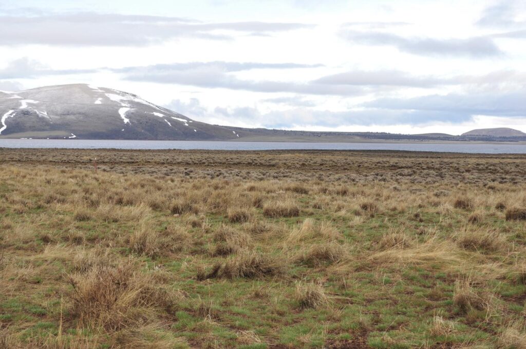 DSC_6342.JPG