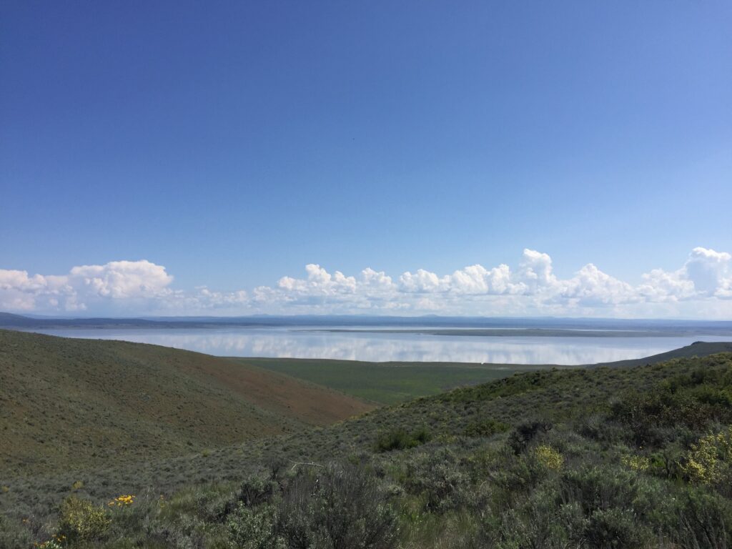 A sagebrush landscape