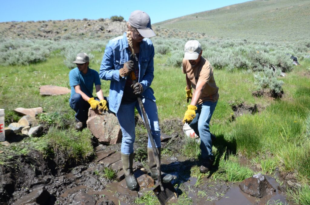 Volunteers learn how to install wet meadow restoration structures during a hands-on training day sponsored by the Sage Grouse Initiative.jpg