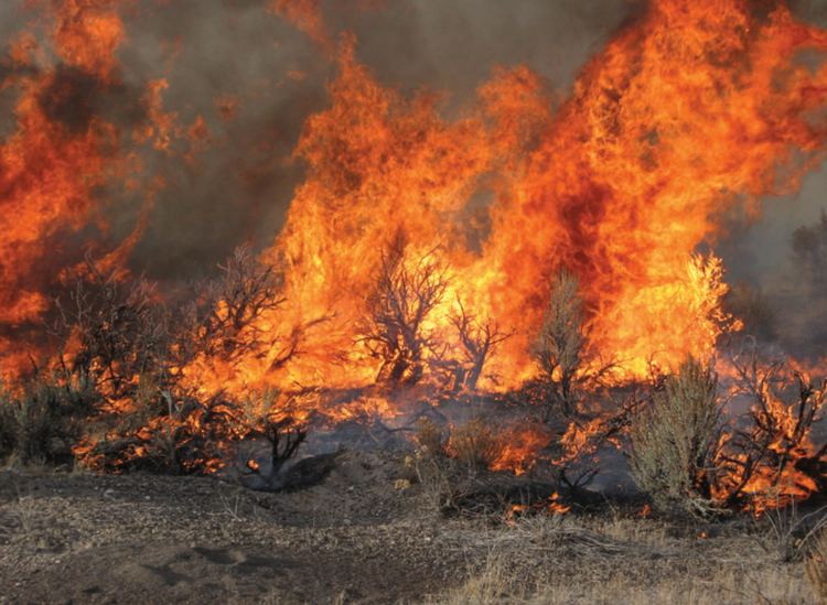 Rangeland fire