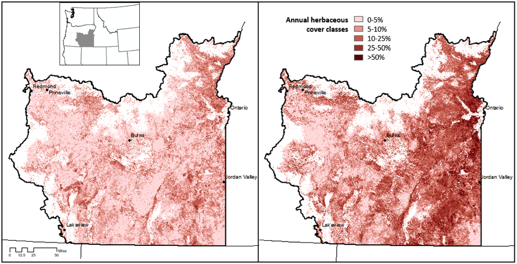The spread of invasive annual grass species has affected broad areas of sagebrush rangeland in Oregon. The map on the left shows annual grass & forb cover from 1984-1988 and the map on the right shows annual grass & forb cover from 2015-2019…