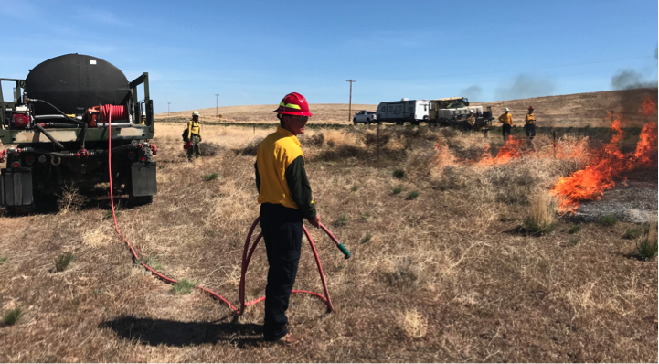 Ashwood-Antelope RFPA volunteers managing a controlled burn. Photo Courtesy of Bing Bingham.
