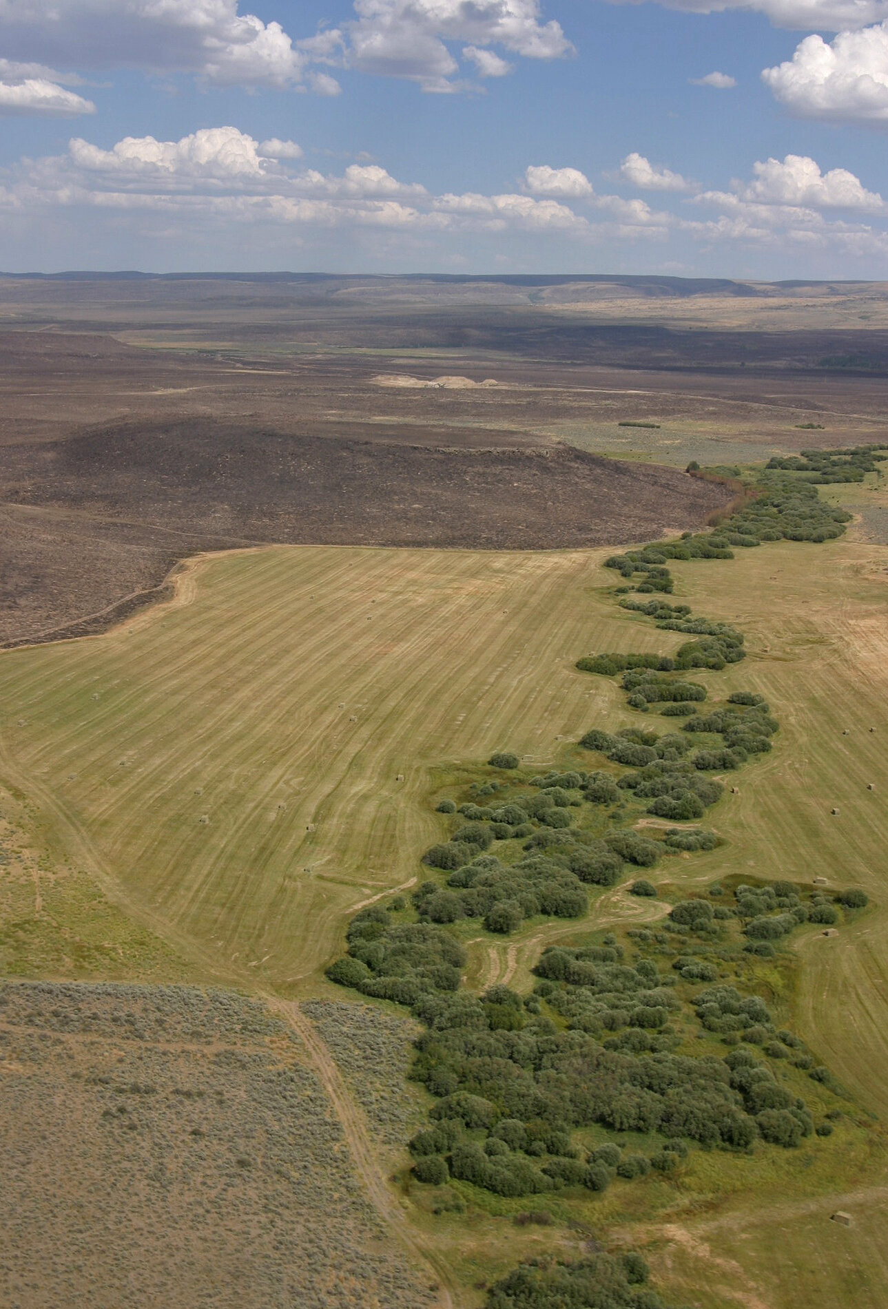 Murphy Complex Fire. Photo courtesy of the Bureau of Land Management.