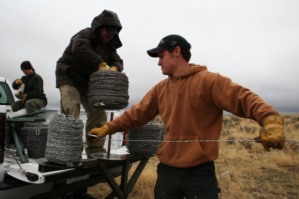 Restoration efforts after the Murphy Complex Fire. Photos courtesy of the Bureau of Land Management.