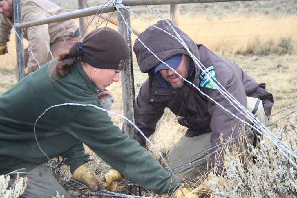 Restoration efforts after the Murphy Complex Fire. Photos courtesy of the Bureau of Land Management.