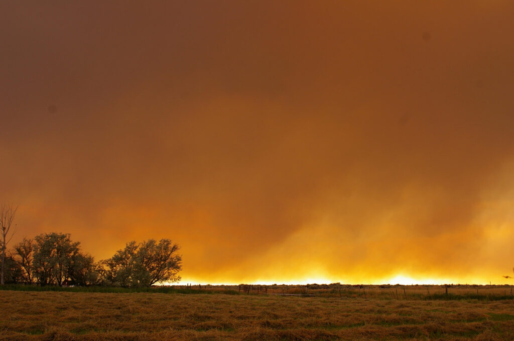 The Murphy Complex fire