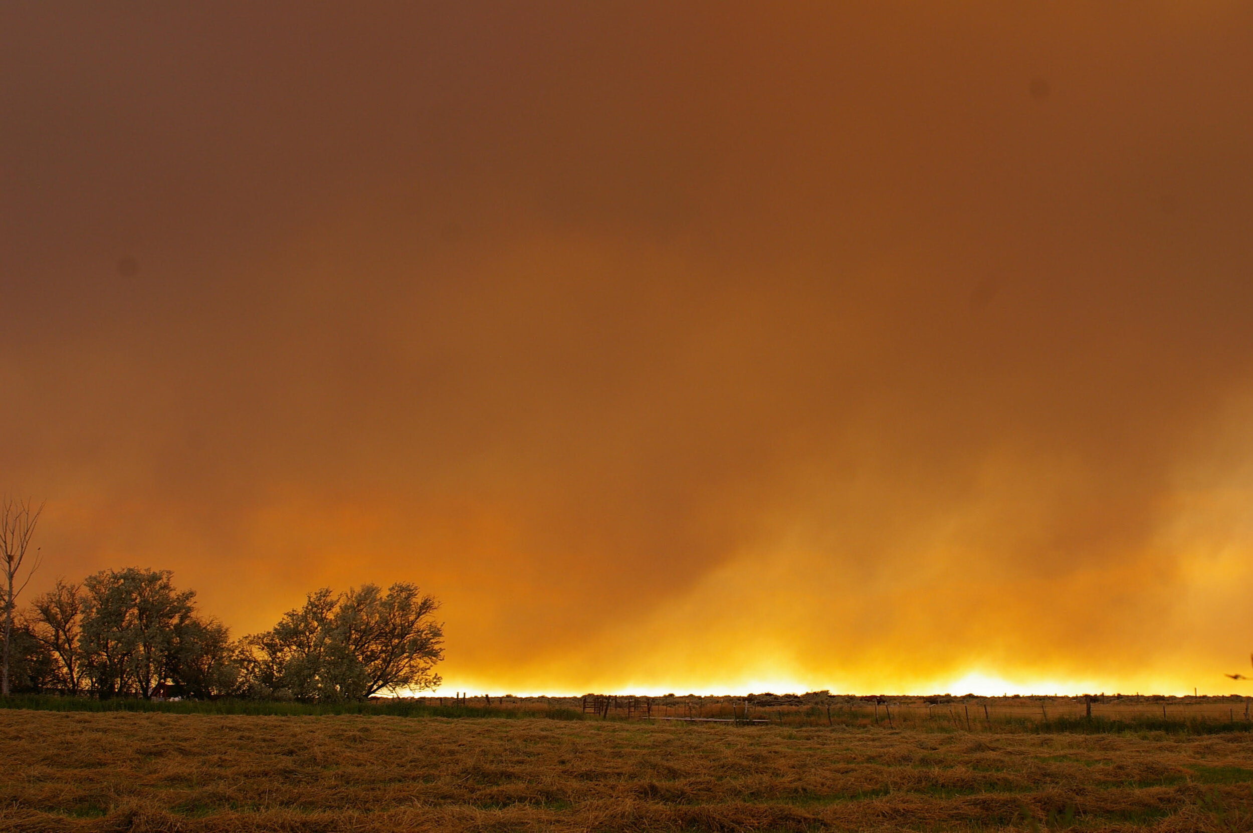 Murphy Complex Fire. Photo courtesy of Kim Brackett.