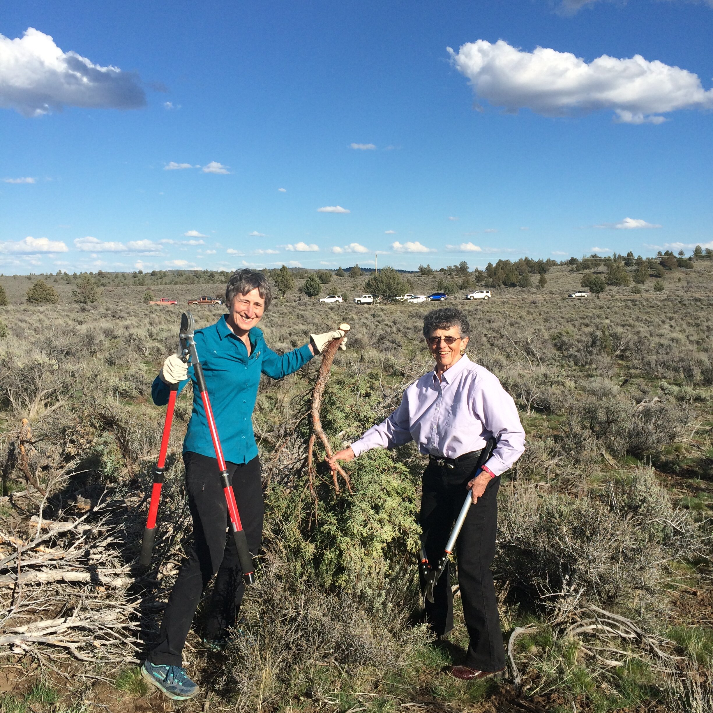 Former Secretary of Interior Sally Jewell helping Oregon landowner Carol Dunten remove encroaching juniper trees. Photo courtesy of the USFWS.