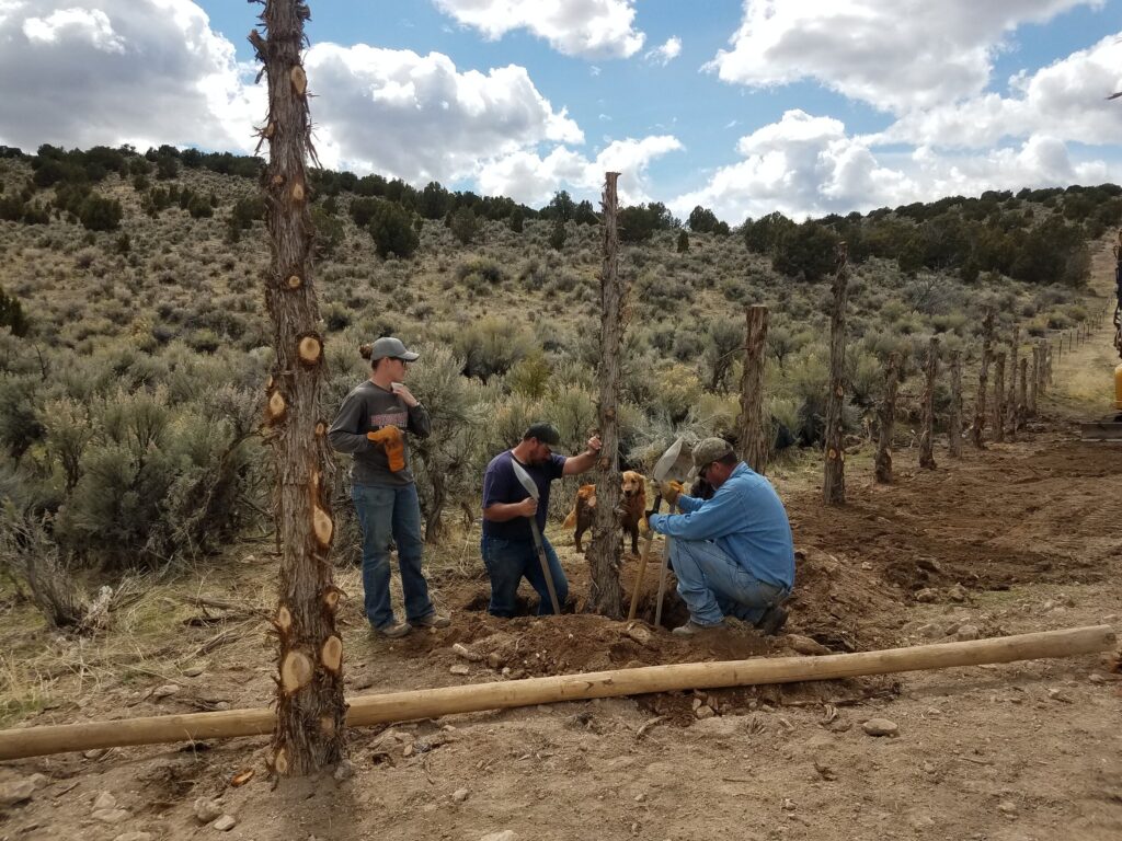People doing a restoration project