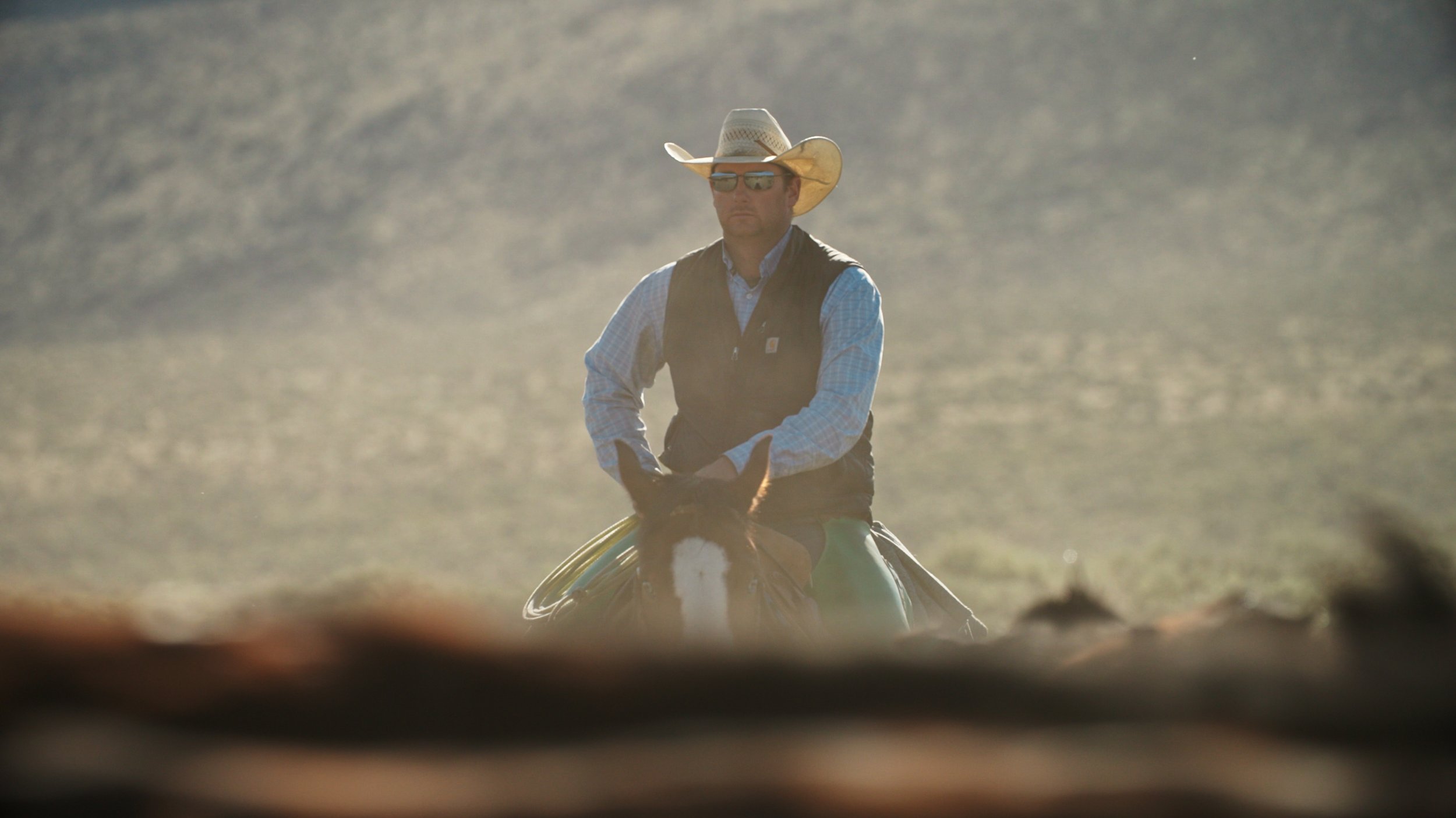 A cowboy on horseback