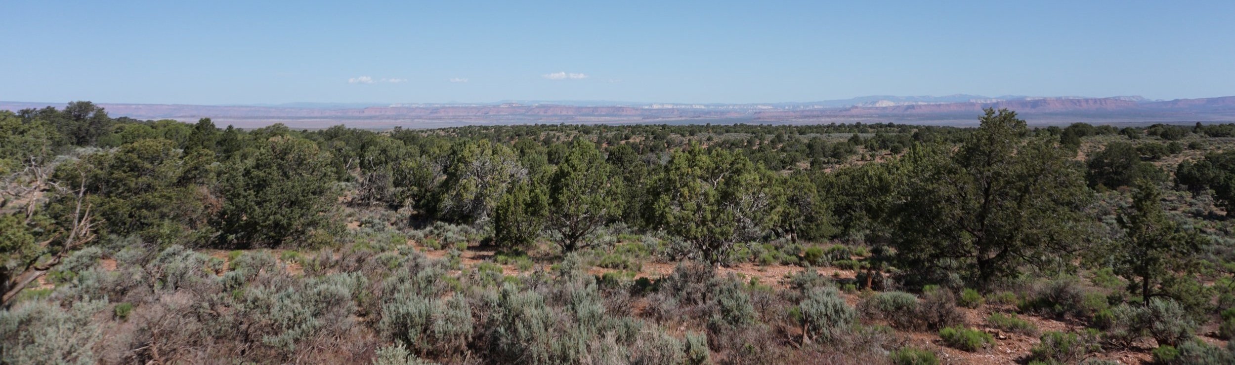A landscape in St George Utah