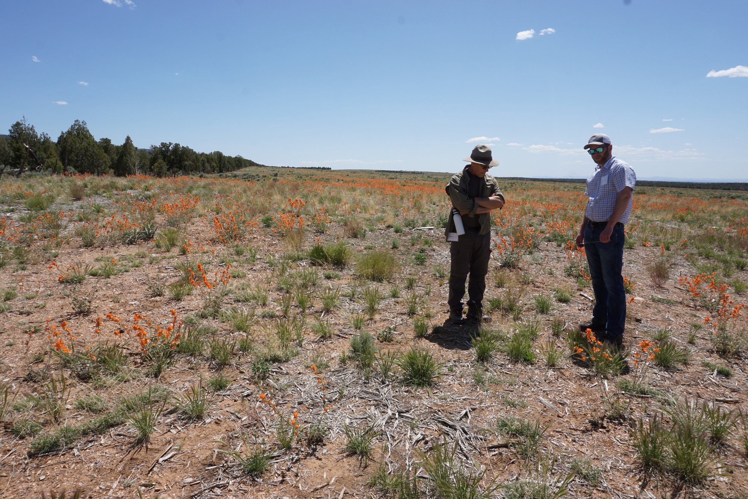 Management Oversight Group member Gordon Toevs and Sage Capacity Team member Jason LeVan admire results at the Shuttleworth-Suicide project site.