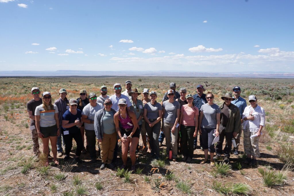 The sage capacity team in Utah