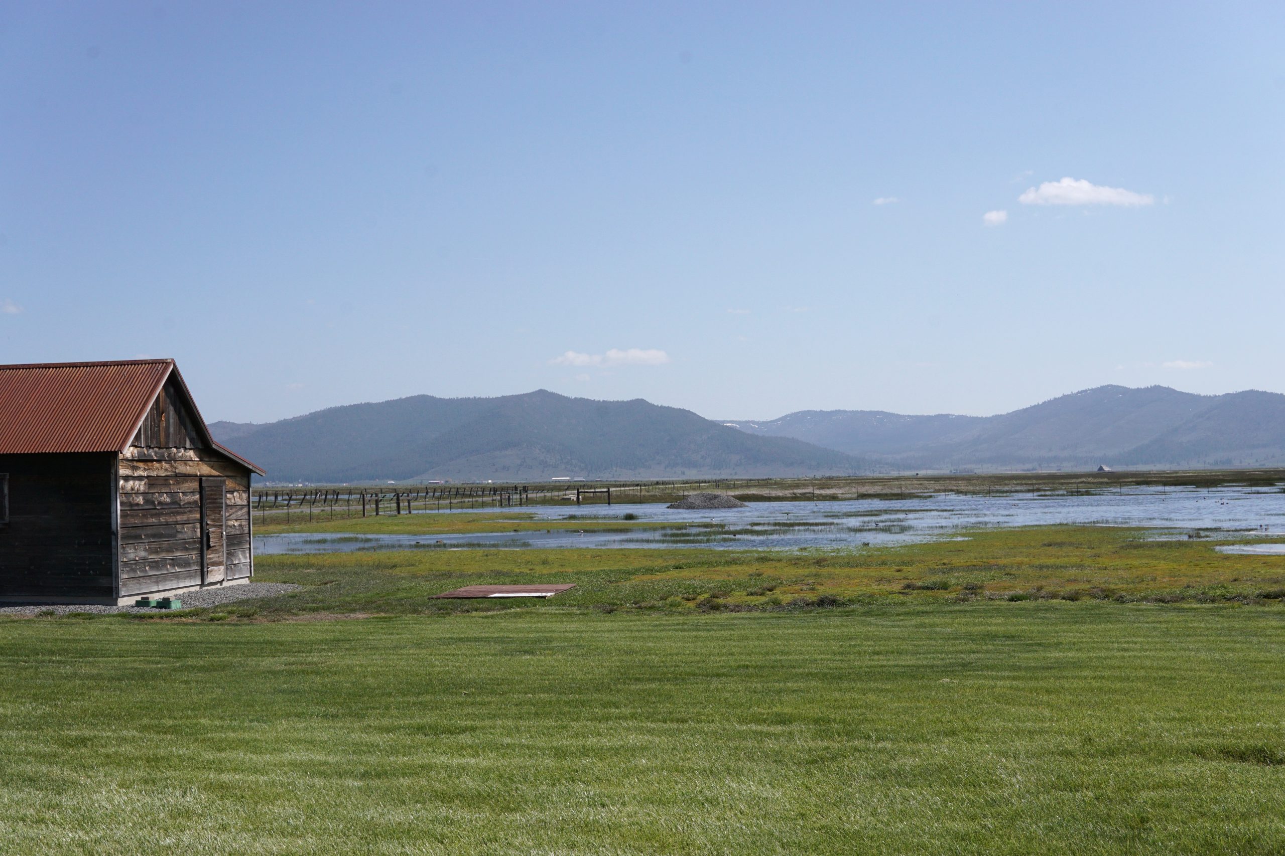CA_Island Ranch_Emily Downing