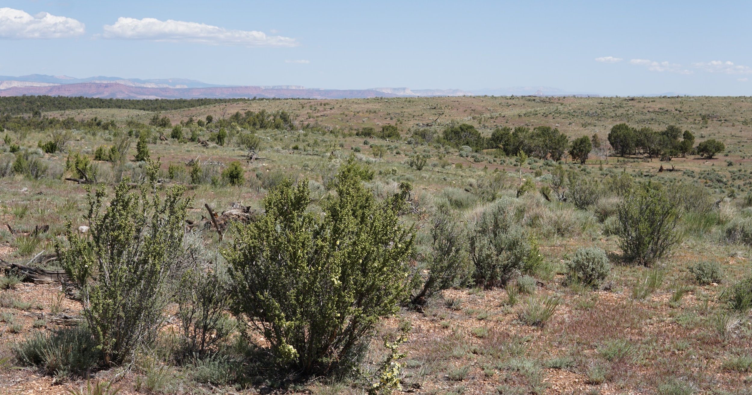 A wide open landscape