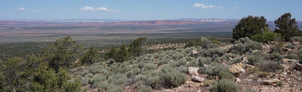 Sage and conifers on the Arizona Strip