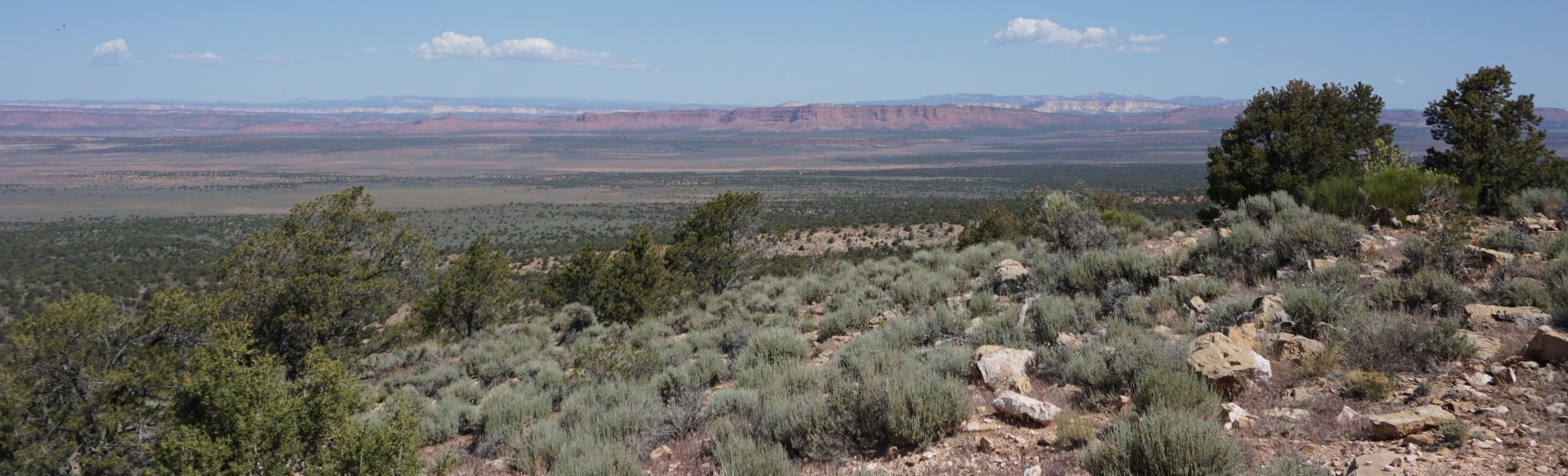 Sage and conifers on the Arizona Strip