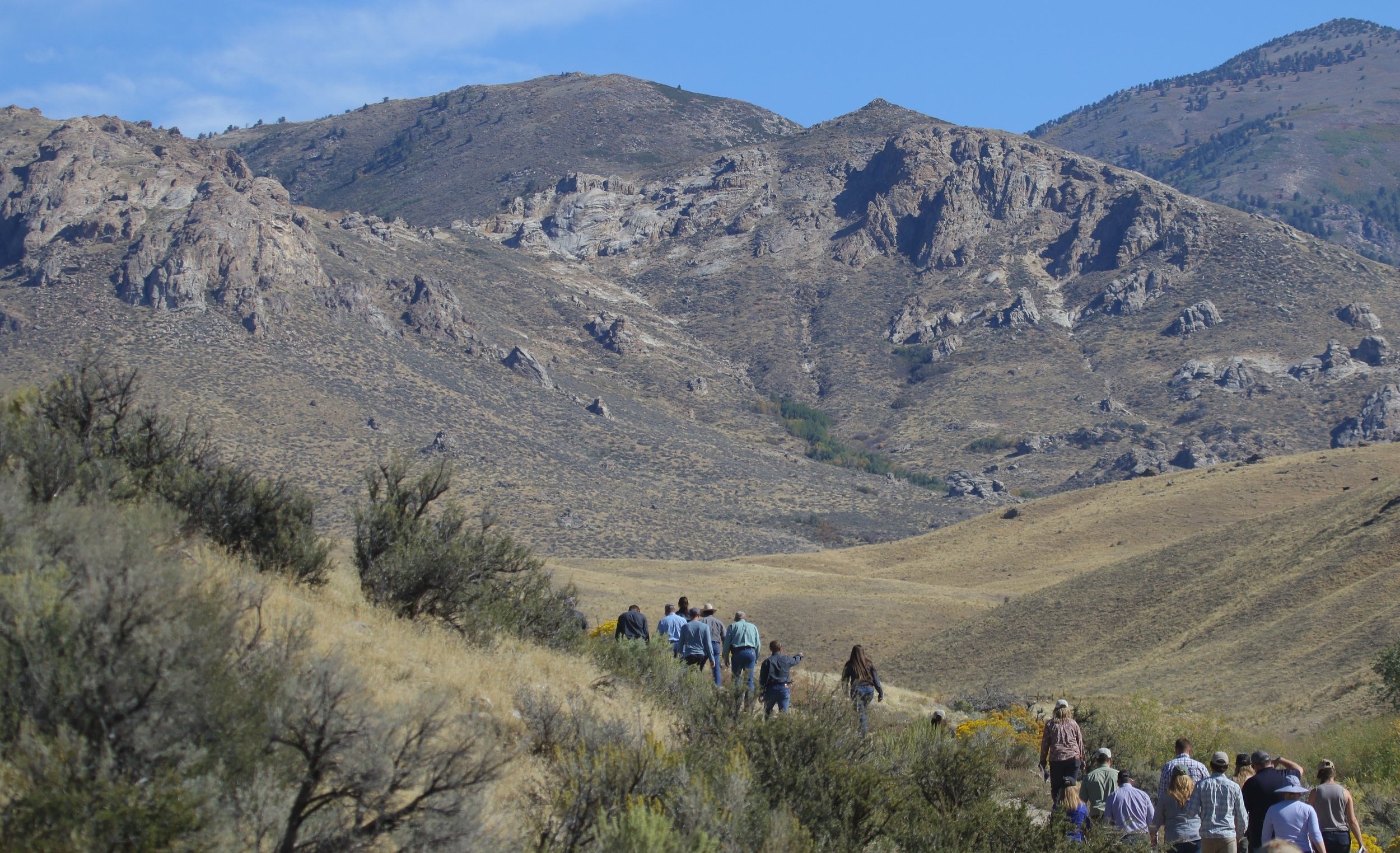 Partners walk through the Harrison Pass area during the field tour.