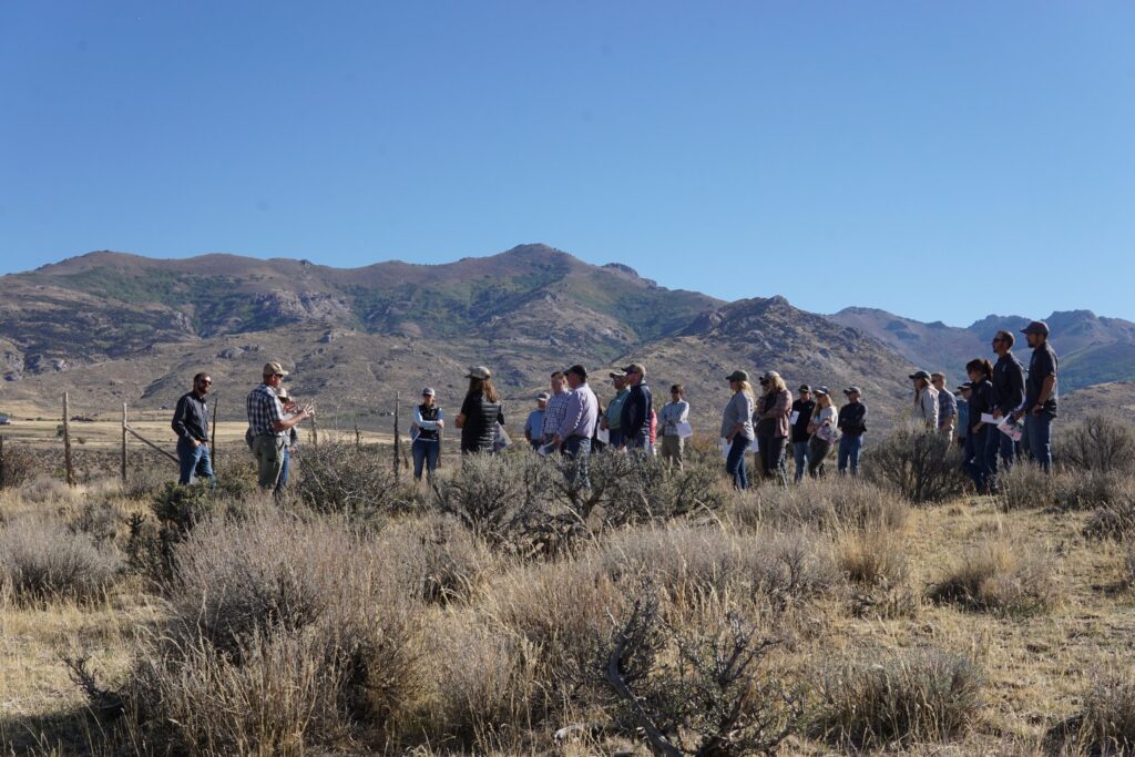 A field tour in Nevada
