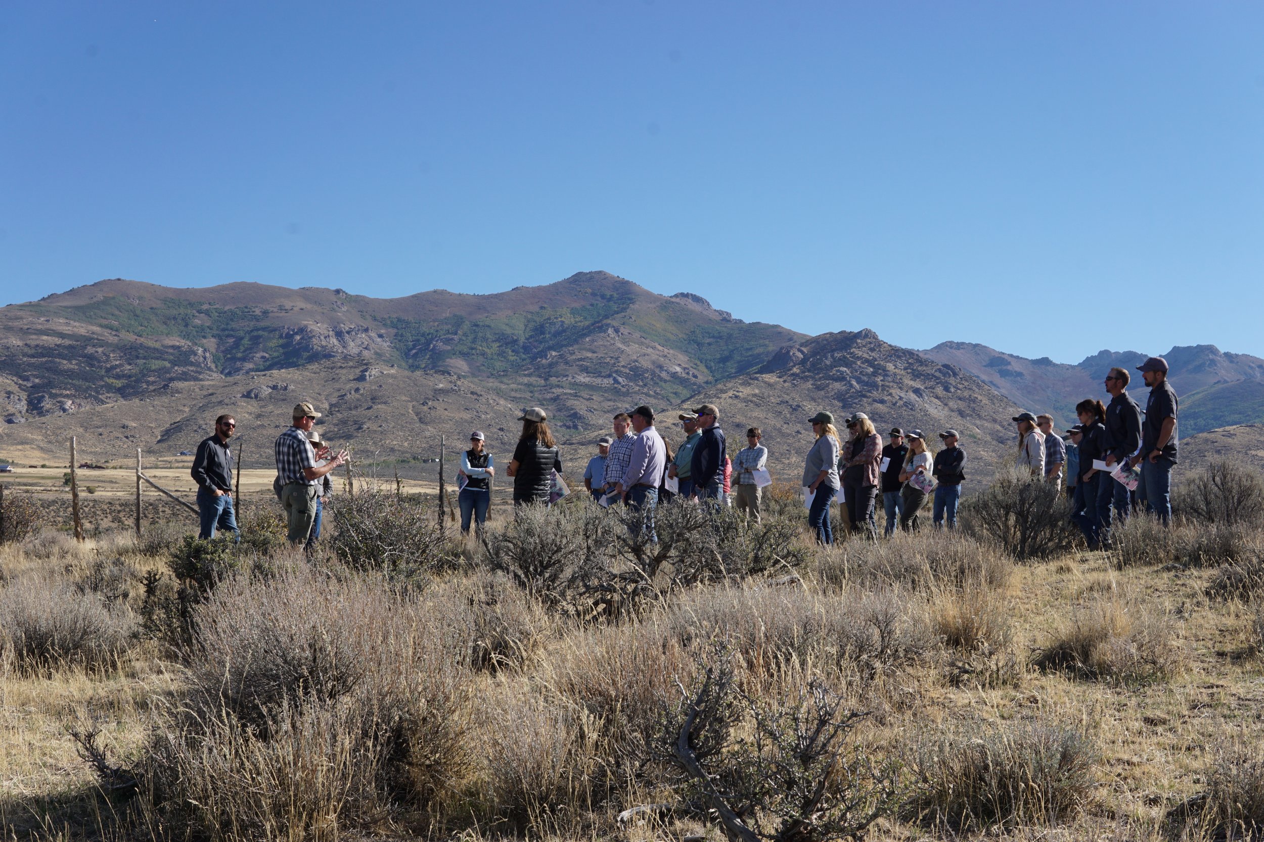 A field tour in Nevada