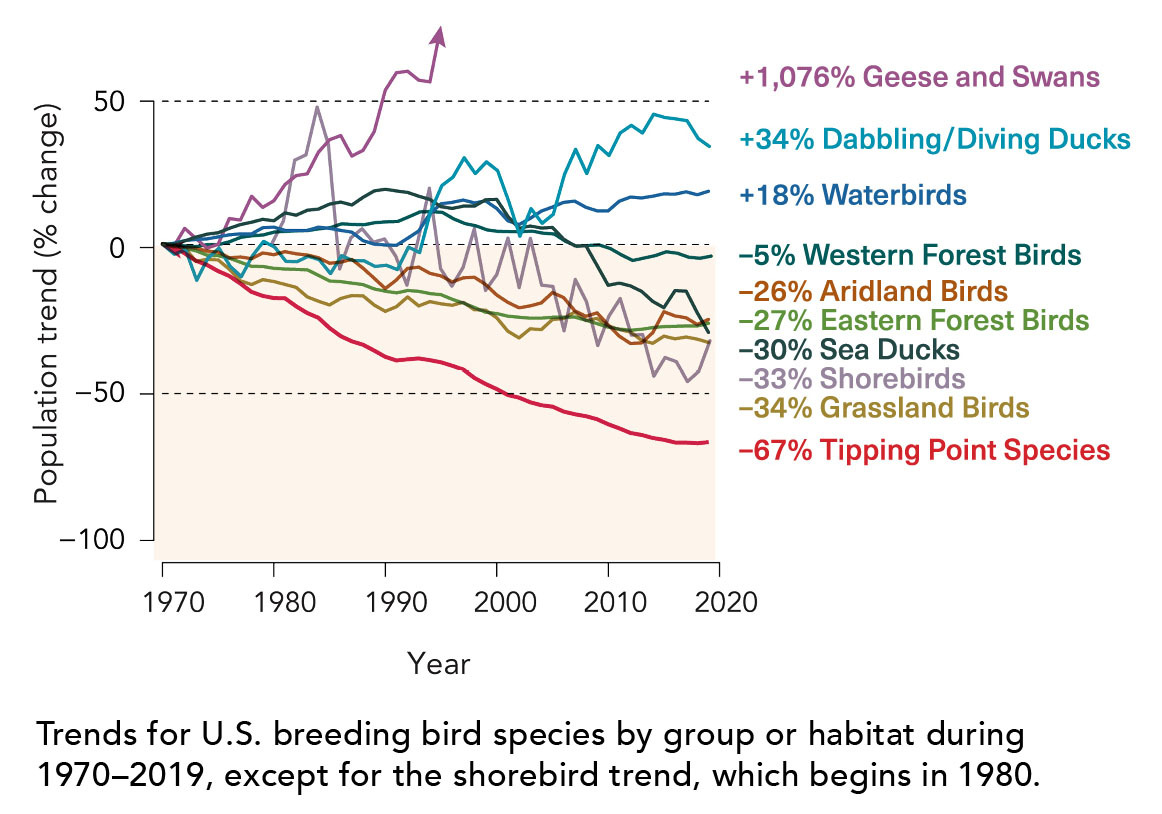 2022 State of the Birds Report Released IWJV