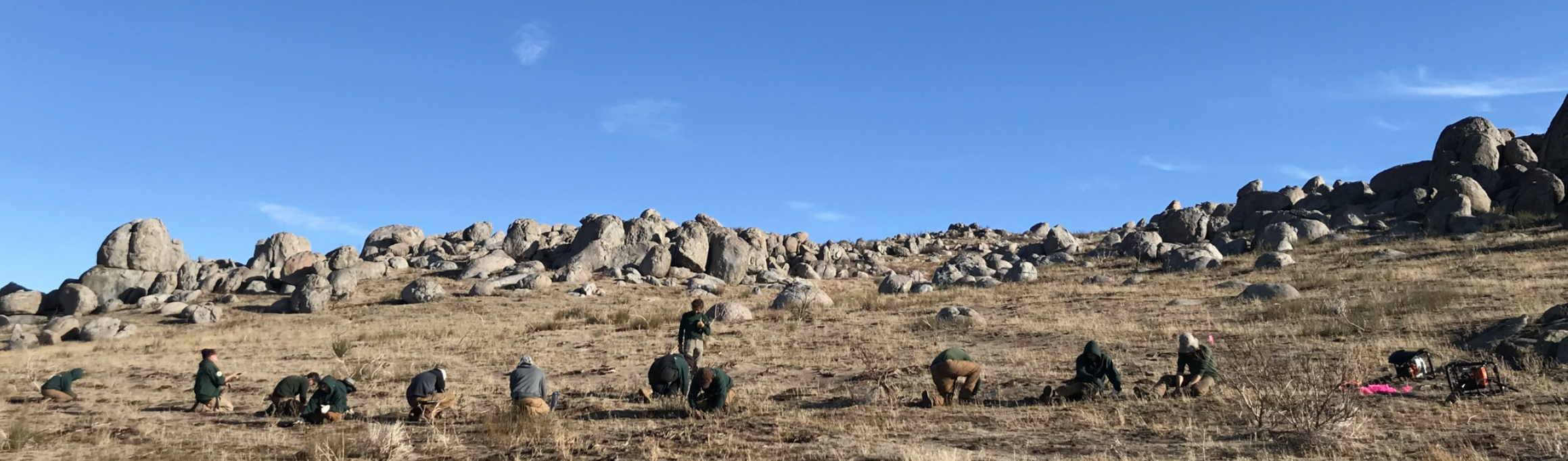People planting native vegetation