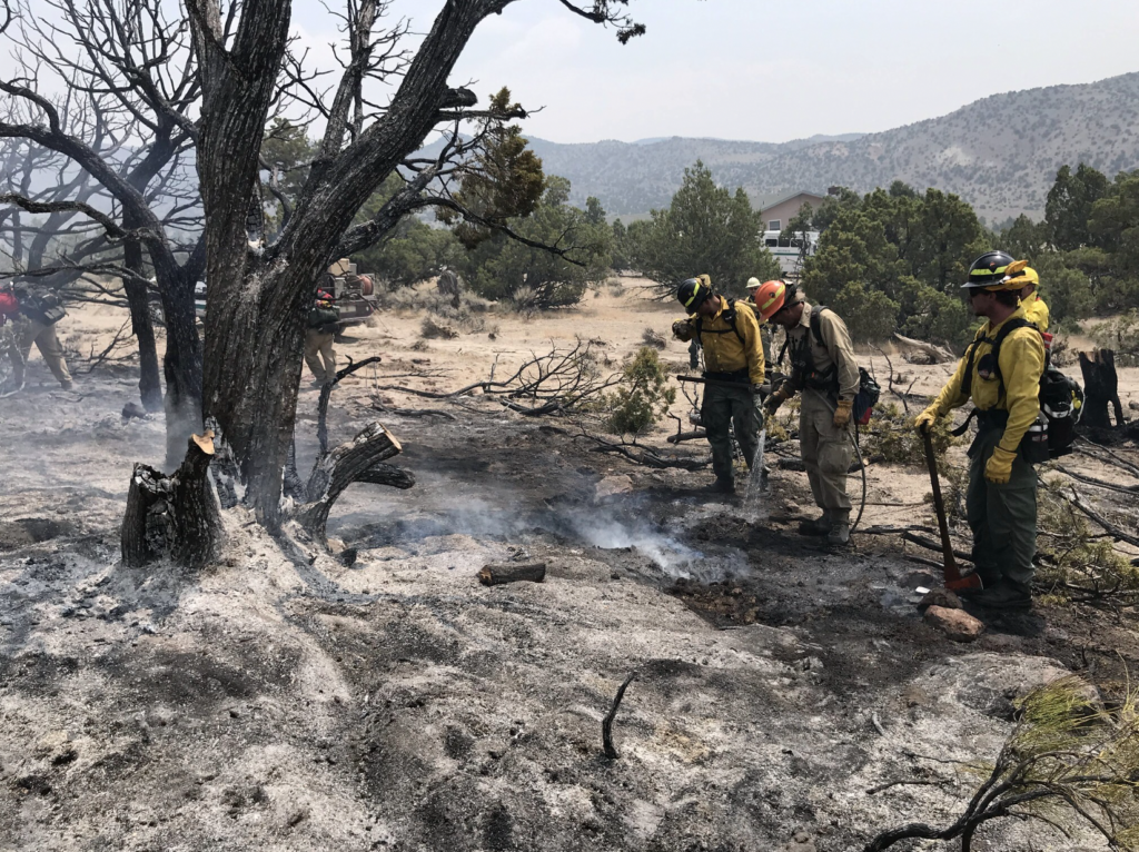 People putting out a wildland fire