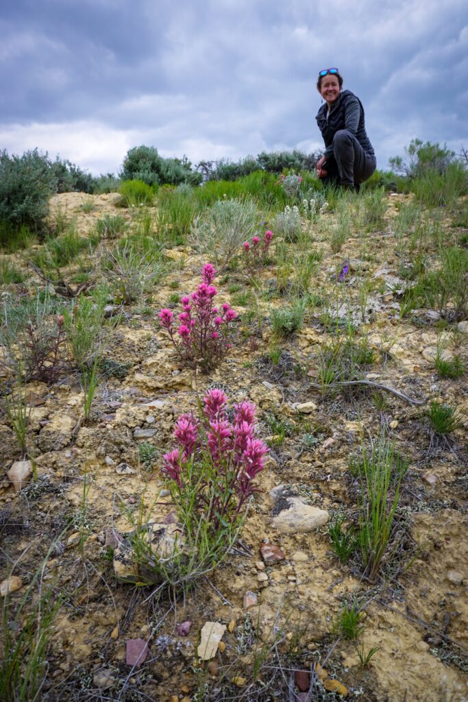 IWJV communications specialist Emily Downing documenting wildflower abundance in southwest Montana in spring of 2023.