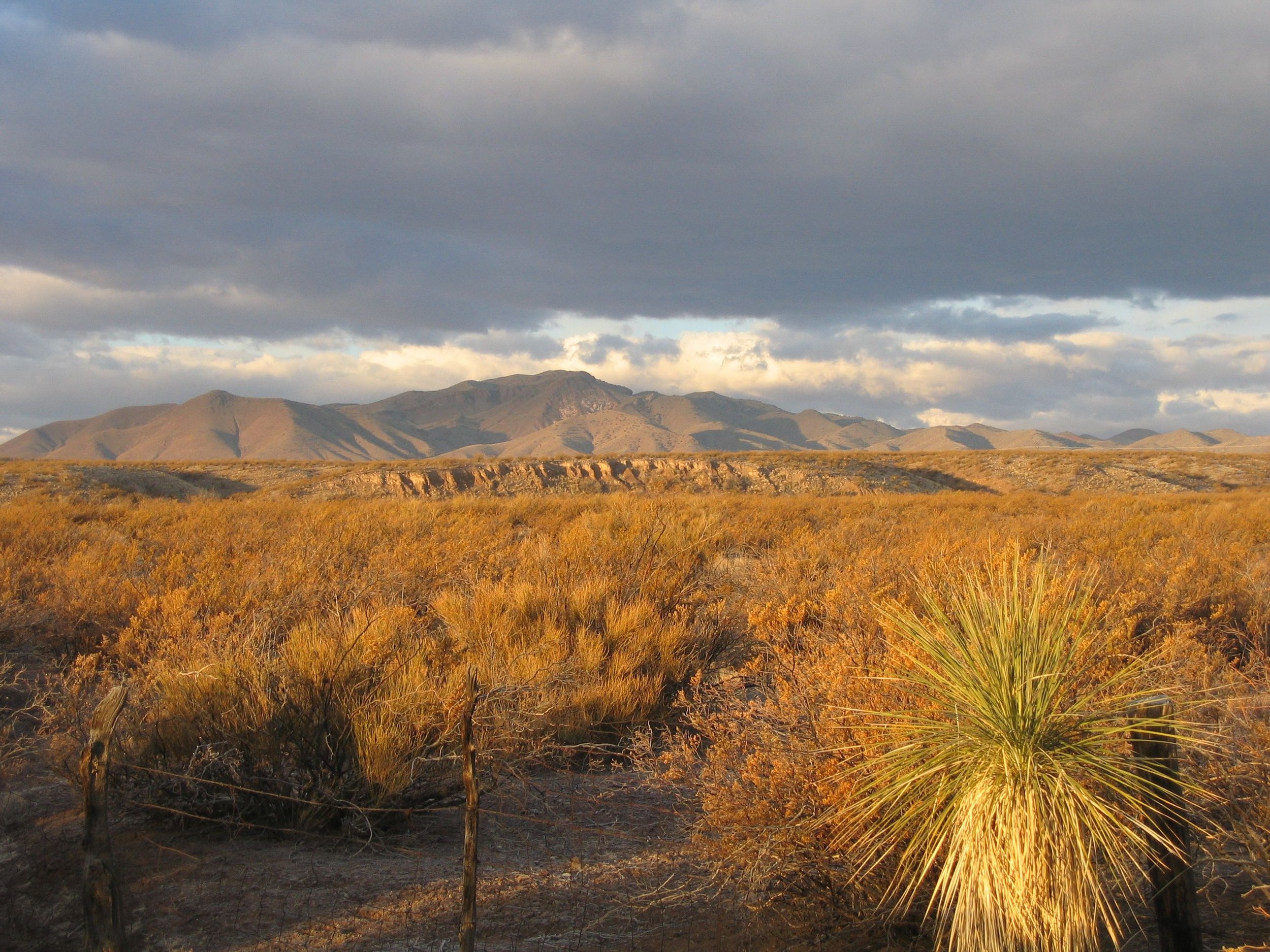 A wide open landscape with mountains at sunset