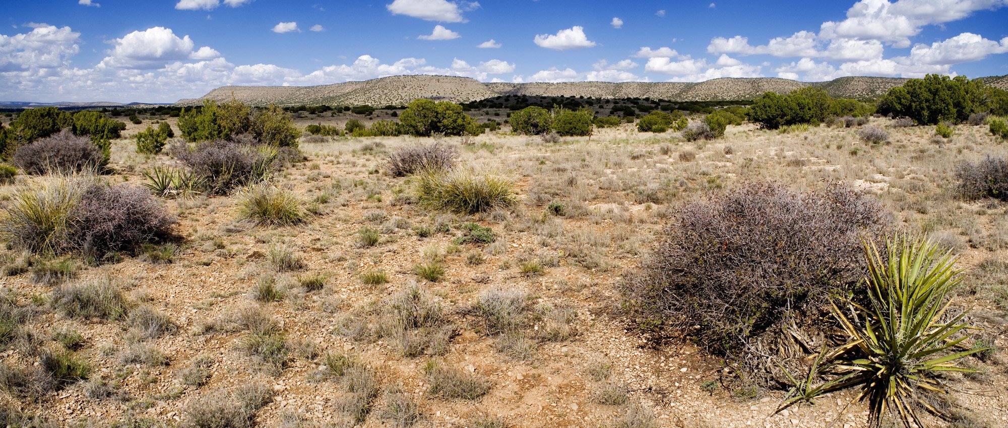 The west side of Chupadera Mesa