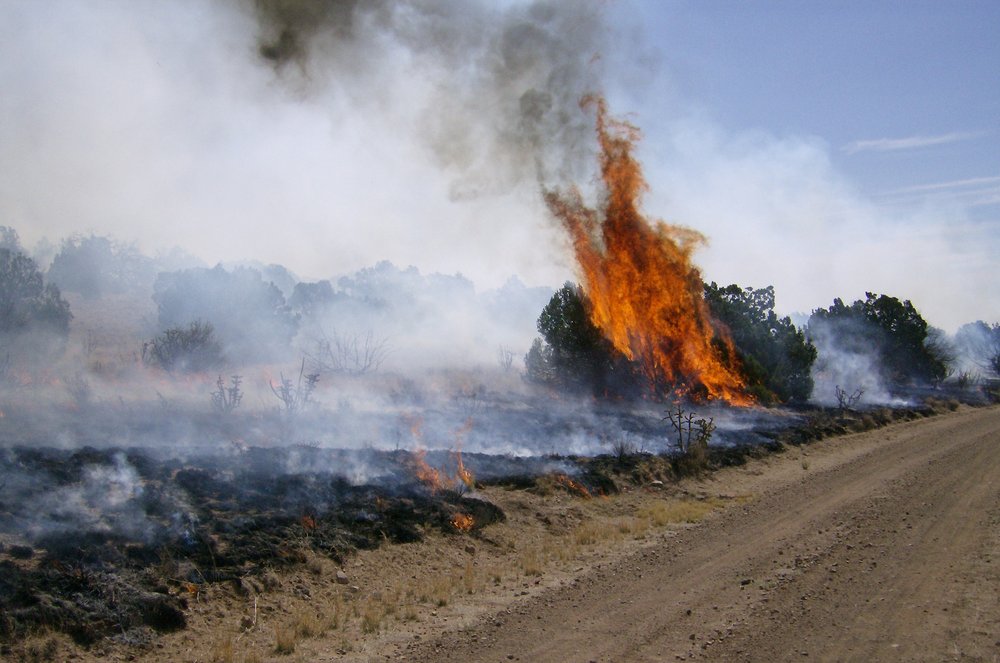 A rangeland fire