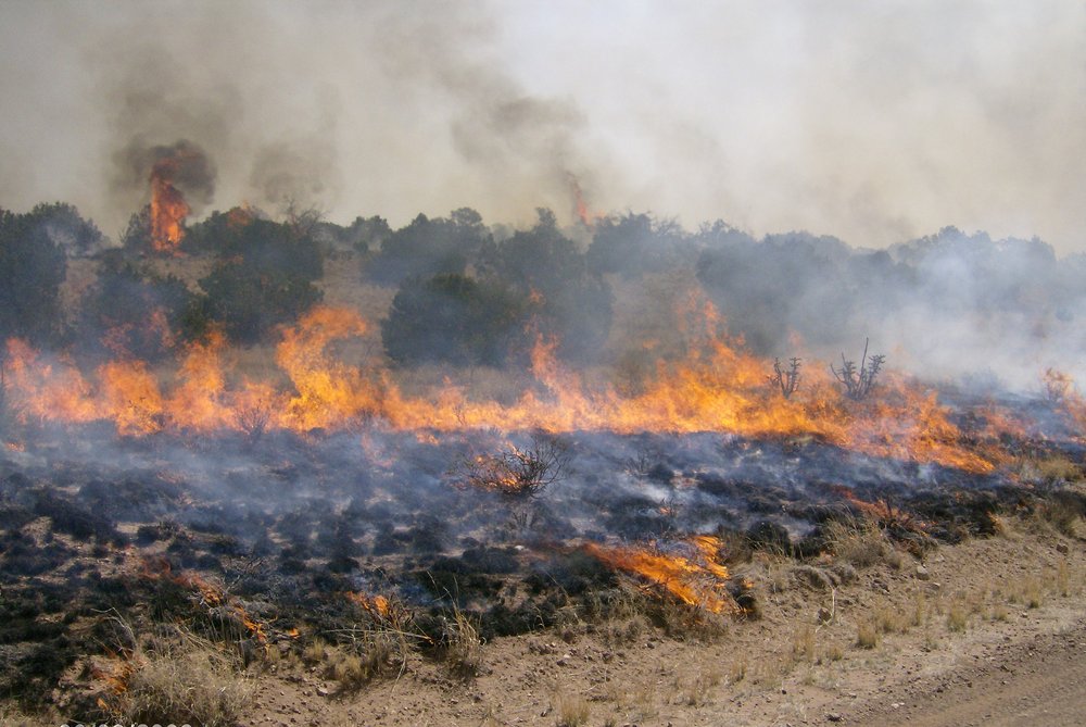 A rangeland fire