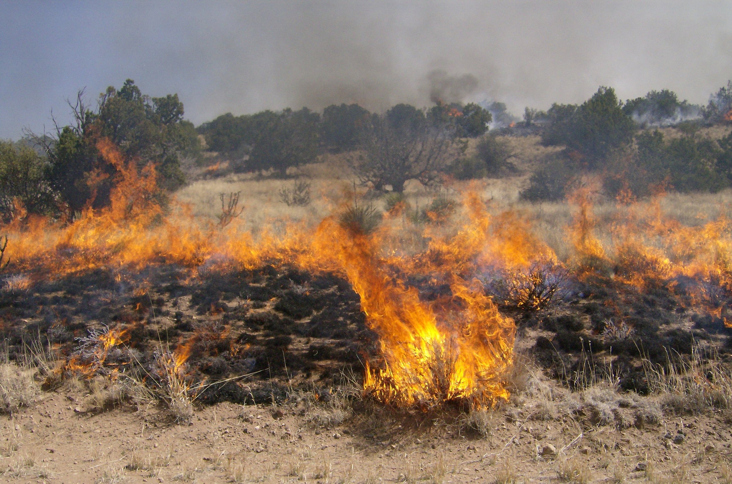 A rangeland fire