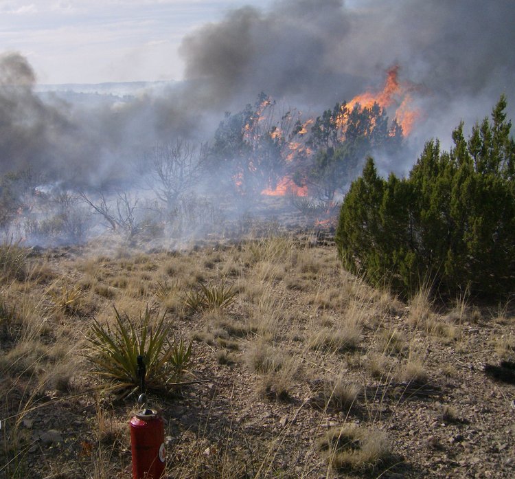 A rangeland fire