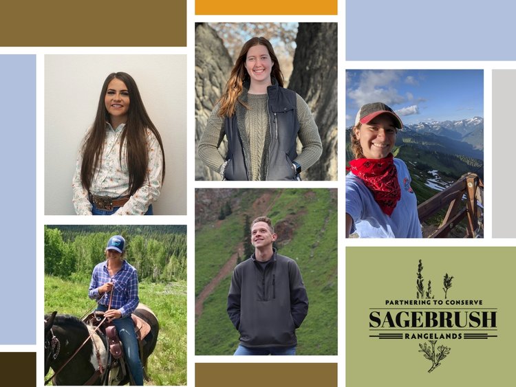 Thumbnail showing new sage capacity team members