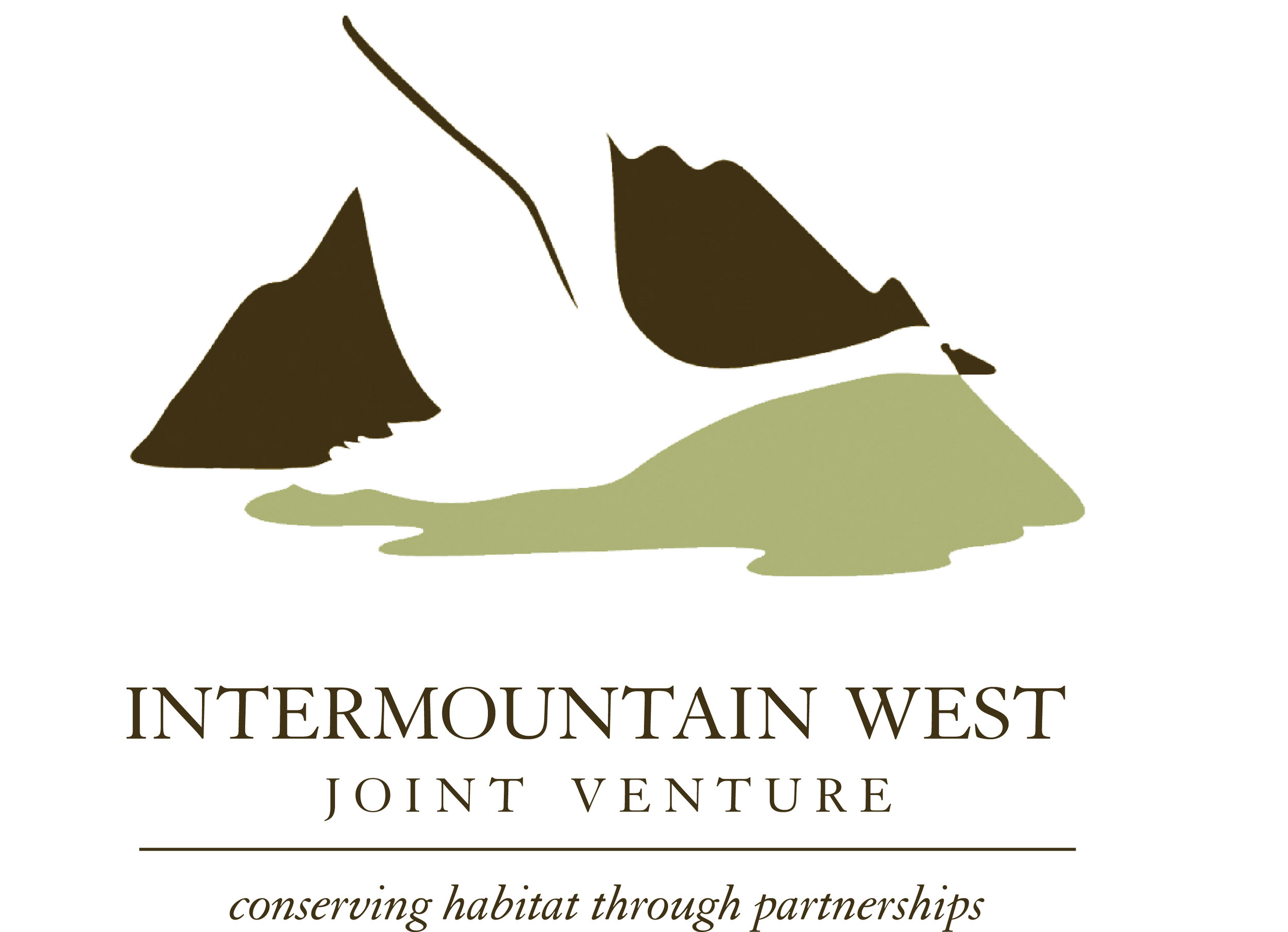 The IWJV logo